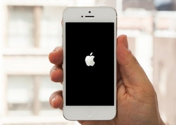 iPhone 5S treo táo: Một trong những hình ảnh cực kỳ độc đáo và hài hước về iPhone 5S treo táo. Hãy cùng cười thả ga với tình huống hài hước này và chắc chắn sẽ làm bạn cảm thấy vui vẻ và thư giãn.