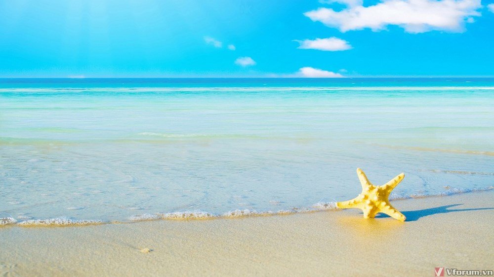 Tải hình nền biển máy tính để sở hữu cho mình một khung cảnh tuyệt đẹp cùng đại dương nắng gắt, những vệt sóng và bầu trời xanh biếc. Hãy đưa máy tính của bạn đến với cuộc hành trình đầy màu sắc cùng cát trắng và biển.
