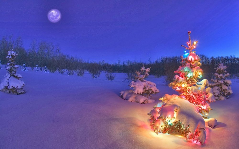 Với mùa Noel đang đến gần, hãy cùng thư giãn với những hình nền Noel đầy ấm áp và thú vị. Những hình ảnh này sẽ giúp bạn cảm nhận được không khí lễ hội sôi động và tình yêu thương đang lan tỏa khắp mọi nơi. Hãy từ bỏ áp lực công việc và thưởng thức những hình nền Noel đáng yêu này để tận hưởng một mùa lễ hội thật đáng nhớ.