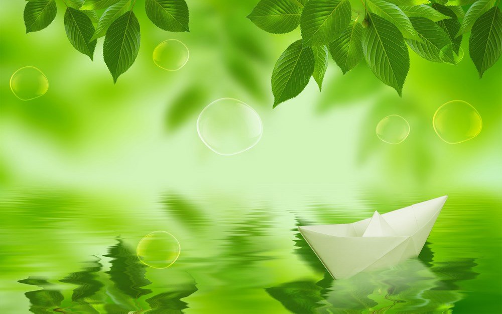 Cập nhật 77+ về background hình nền màu xanh lá cây hay nhất - coedo.com.vn