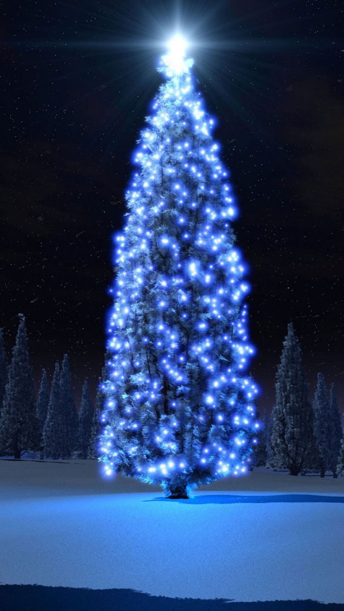Hình nền Giáng Sinh cây thông Noel xinh xắn năm 2022