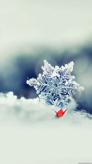 100 Hình ảnh mùa đông tuyết phủ trắng xóa cực đẹp  Hà Nội Spirit Of Place